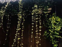 -小雅青年旅舍(平江路店)