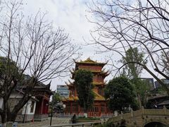 -龙潭水乡