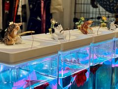 -东土食研所(渔港路店)