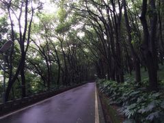 华东疗养院-上海市保健医疗中心(华东疗养院)
