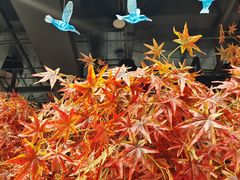 -雲蜀龙阁·金牌水煮鱼(方庄店)