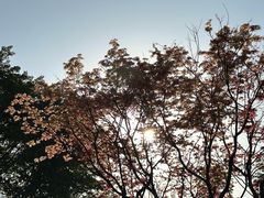 -九眼桥码头旧址