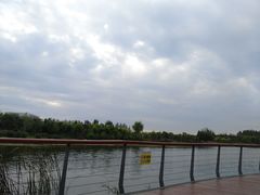 -东郊湿地公园