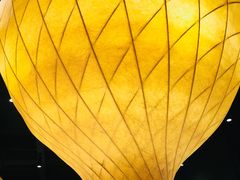 -千纸鹤嫩汁烤肉(学府店)