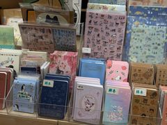 -猫的天空之城概念书店(大学路店)