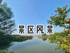 -大湾区中央湿地公园