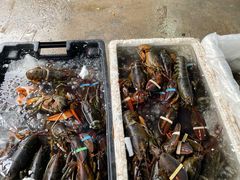 -江杨农产品批发市场