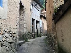 -杨家堂村
