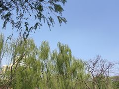 -元大都城垣遗址公园
