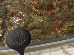 -澜悦港海鲜体验主题餐厅