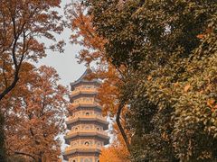 -灵谷景区