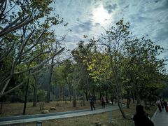 -南国桃园旅游度假区