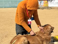 -趣玩宠物乐园寄养训犬训狗游泳池