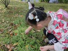 -常德桃花源景区