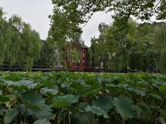 -四川大学(望江校区)