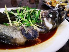 老虎斑-蚝专家(北滘店)