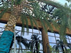 -杭州开元森泊度假乐园