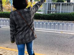 -三里屯东五街银杏大道