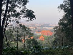 -南国桃园旅游度假区