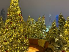 -城市露台景观餐厅(淮海路店)