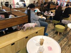 -喵匠猫主题咖啡(凯德和平广场店)