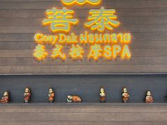 -菩泰·泰式草本按摩SPA(武汉新天地南馆店)