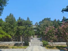 -盐池神庙
