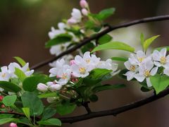 -上海吴淞炮台湾国家湿地公园