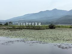 -腾冲北海湿地