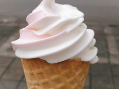 -蜜雪冰城(理工学院汇北店)