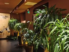 -隐炉和牛烧肉店(群力店)