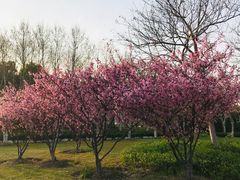 -东华大学(松江校区)