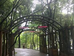 -天目湖山水园