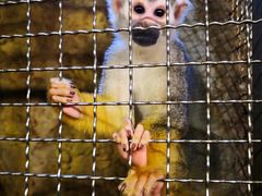 -成都浩海立方海洋公园