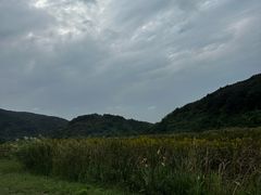 -南北湖风景区