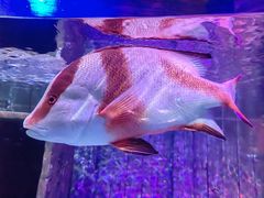 -沈阳海洋探索中心