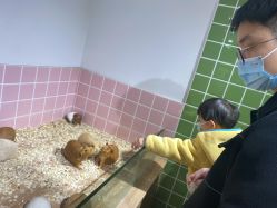 -Moni星球萌宠·小马宝莉·灵蛇·高端高阶全萌宠互动体验俱乐部(红豆国际广场店)