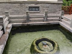 -趵突泉景区