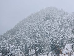 -四明山国家森林公园