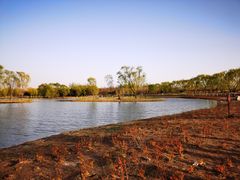 -大兴滨河森林公园