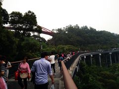 -金鸡山公园