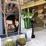 东城智慧小镇探店[加油]网红饮品店