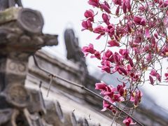 -潭柘寺景区