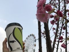 -813芭依珊 BAESAn(皇冠十畝地店)