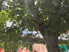-高记什邡肖麻辣(成都店)