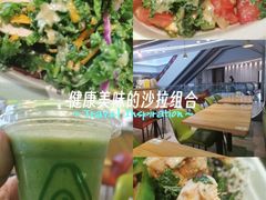 -油梨树AVOCADO TREE(望京店)