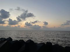 -南汇嘴观海公园