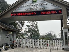 -中国大熊猫保护研究中心雅安碧峰峡基地