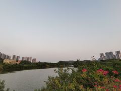 -大亚湾红树林城市湿地公园