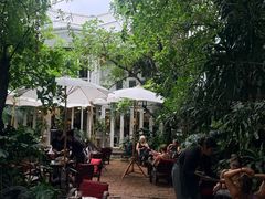 -Fern Forest Cafe